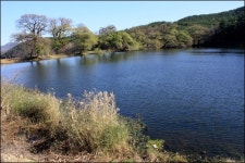 더 가깝게 보고 느끼는 경산