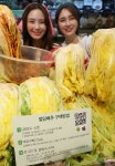 롯데마트, 전라남도 해남 황토 절임배추 예약 판매 시작