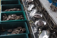 나는어부다참전복, 바다 환경 보호 활동 기부