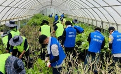 ㈜한진-농협, 집중호우 피해지역 일손 돕기 실시