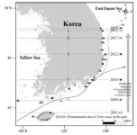 해양환경공단, 남해안 소라의 서식지 울진까지 북상 확인