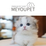 강아지분양 애견샵 미유펫, 분양 후 평생 병원비 20% 할인