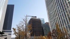 [특징주] 데이타솔루션, 삼성전자와 165억원 서버 공급 계약에 강세