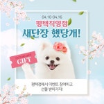 빅토리아펫, 평택직영점 오픈 이벤트 진행