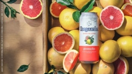 호가든, 상큼한 풍미 밀맥주 호가든 포멜로 출시