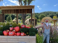 [포토] 국립백두대간수목원 2021년 가을봉자페스티벌 개최