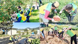 공무원연금공단, 전국 10개 지역서 농촌 일손 돕기 합동봉사활동