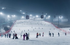 대명 소노인터내셔널, 비발디파크 스키장 밤샘•새벽스키 운영