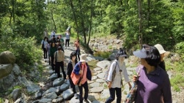 한국산림복지진흥원 국립예산치유의숲, 항노화 산림치유서비스 제공