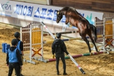 한국마사회, 승용마 품평회 및 어린말 승마대회 서귀포서 개최