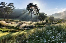 한수정, 11월 12일까지 국립백두대간수목원 입장료 50% 할인