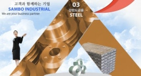 [특징주] 삼보산업, 무상감자 결정 소식에 급락