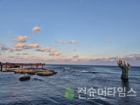 [김기자가 간다] 말도 탈도 많은 대왕고래의 흔적을 쫓다