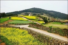 [김경한의 세상이야기] 청산도 풀 무덤 초분