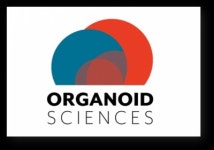[특징주] 오가노이드, 장 치료제 세계 최초 베체트 장염 100% 임상 호전 발표에 ↑