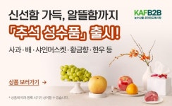 한국농수산식품유통공사(aT), 농수산물 온라인도매시장 특별 할인 진행