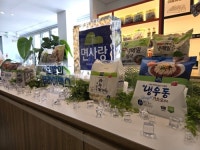 [Focus] 가장 맛있는 순간을 얼렸다…면사랑, 냉동면으로 승부수