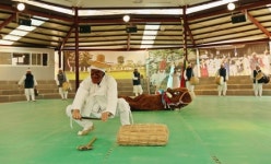 덩실덩실 800년 이어온 신명나는 탈판