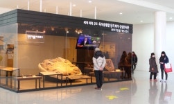 호기심과 상상력의 보물창고로 오세요