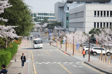 조선대 중앙도서관 앞 큰길 가온벚길로 명명