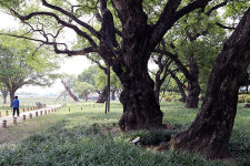 전국 야생화 탐방 ④성주 가야산야생화식물원