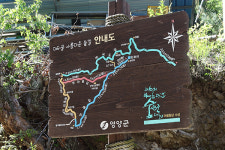 산책을 부추기는 힐링의 숲을 찾아서 ③경북 영양군