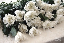 유족 등쳐 돈 버는 의료원 고발