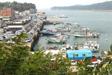 역새, 갈대 명승지와 함께하는 맛기행 ③ 충남 보령