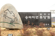 1월 가족과 함께 하는 체험 여행  ①영천 시안미술관