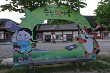 휴양림 숲길 체험 ②양양 미천골자연휴양림