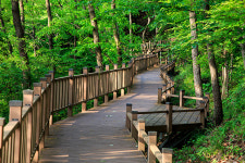 휴양림 숲길 체험 ④보성 제암산자연휴양림