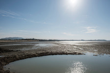 따뜻한 여행 ④함평 해수찜
