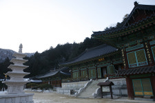 겨울레포츠즐기기 ③평창 선재길과 춘천 구곡폭포