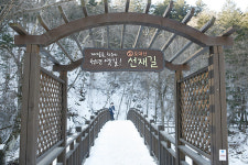 겨울레포츠즐기기 ③평창 선재길과 춘천 구곡폭포