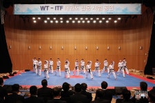 [포토] 품세 시범 보이는 북측 태권도 시범단
