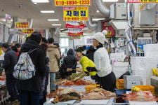 철도여행 ③경북 포항시 북구·영덕군