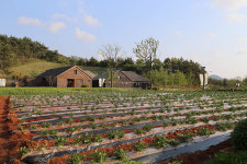 람사르 습지 ③고창 운곡습지