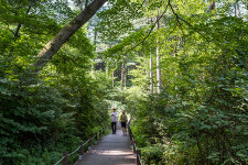 광광두레마을여행 ①가평 경기도잣향기푸른숲