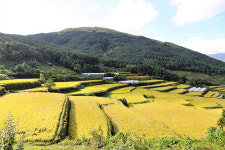 수확이 있는 여행 ③지리산둘레길 인월-금계 구간