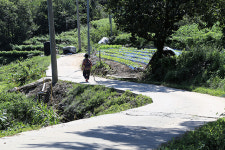 수확이 있는 여행 ③지리산둘레길 인월-금계 구간