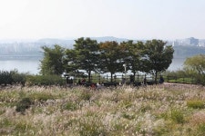 작은책방 ①서울 경의선책거리