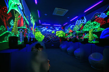 돼지투어 ①이천 돼지보러오면돼지