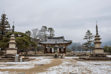 돼지투어 ②남원 운봉 지리산 흑돼지