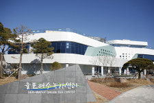 특색있는 스파 보성 율포해수녹차센터