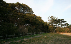 3·1운동 100주년 ③완도 소안도