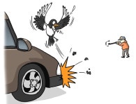 까치 잡으려다…공기총으로 차량 파손