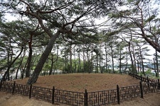 차로 가는 섬 ⑤완도 고금도