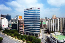 쪼개기 후원 금성백조 실체 & 의혹