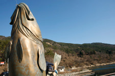 이야기가 있는 겨울 음식 ④거제 대구와 통영 물메기