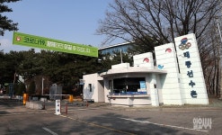 [문병희포토] 닭 대신 꿩? 코로나 치료센터로 운영되는 태릉선수촌